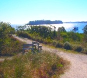 Anna Maria Baywalk