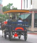 Charleston Carriage Rides