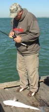 Anna Maria Fishing