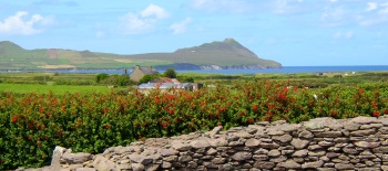 Ireland Dingle Peninsula