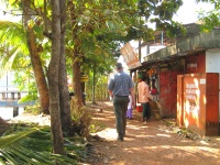 Walk along backwaters to Champakulam