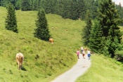 Swiss hike