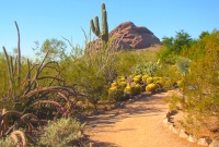 Phoenix Desert Botanical Garden