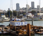 Pier 39 San Francisco