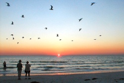 Siesta Key Beach