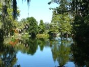 Magnolia Plantation Gardens