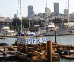 Pier 39 San Francisco