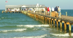 anna maria restaurant city pier