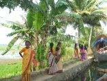 kerala backwaters